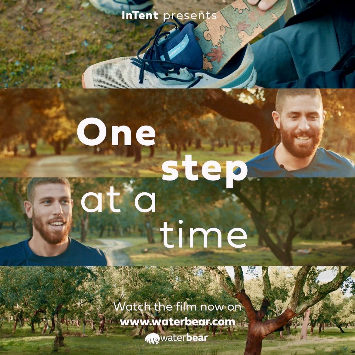 One Step at a Time on The Waterbear Network