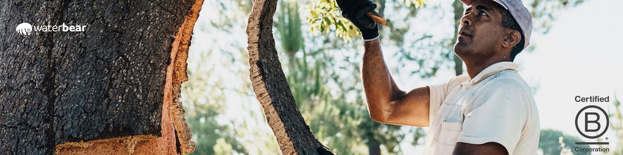 Green Hospitality Certifications: How Do Sustainable Hotel Slippers Help?