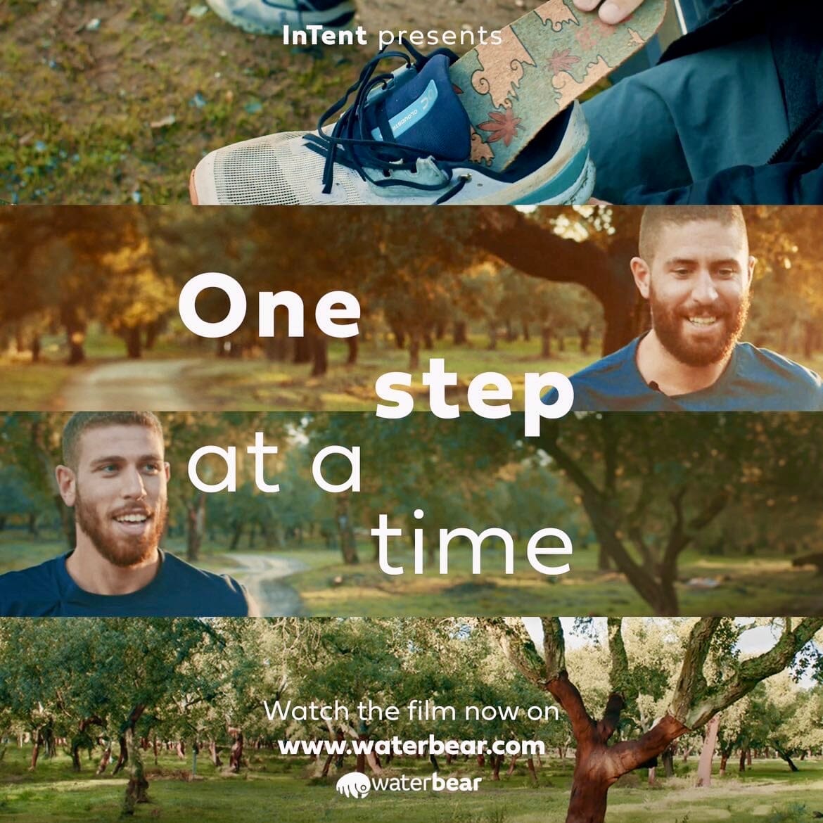 One Step at a Time on The Waterbear Network