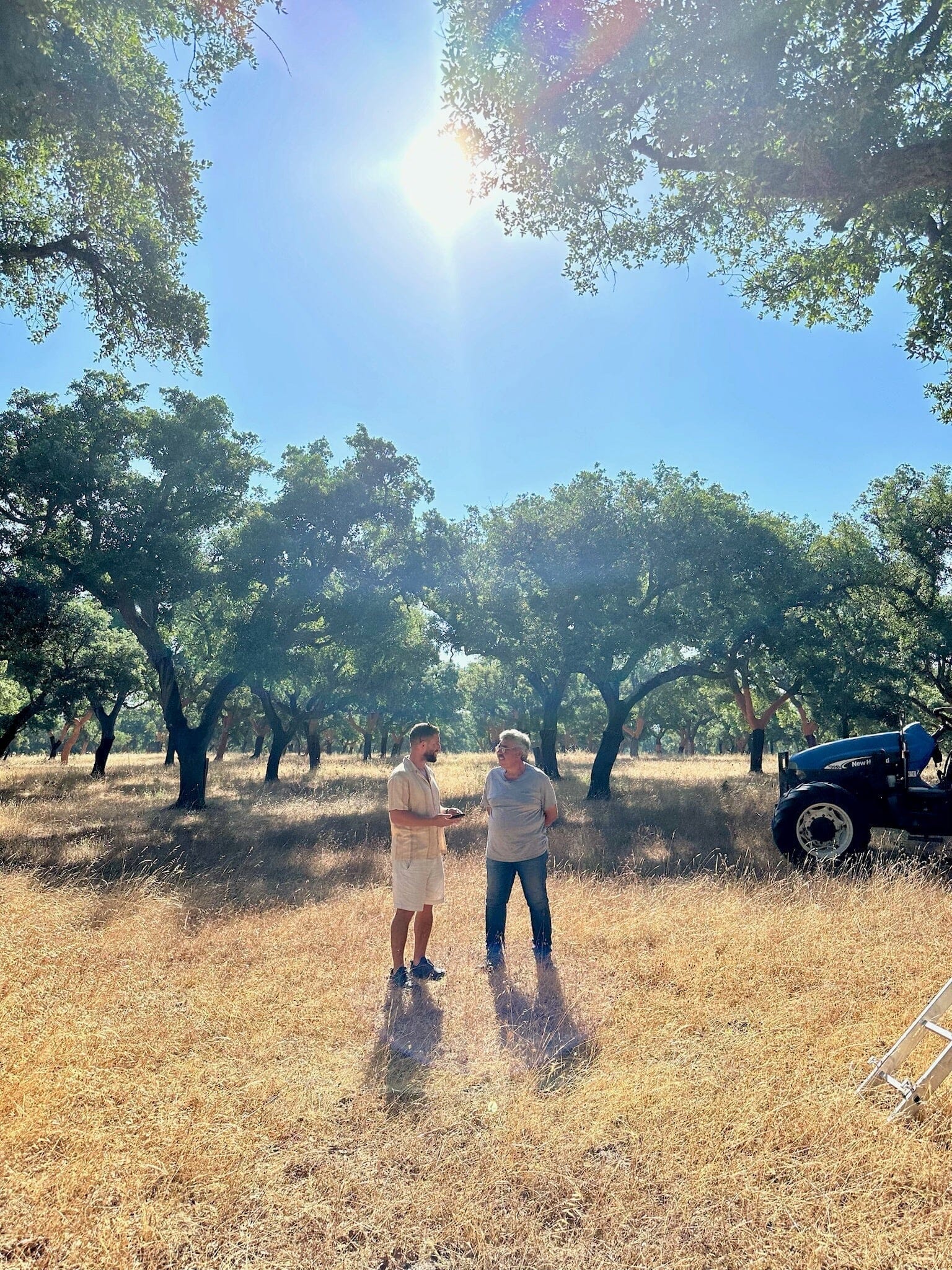 PRIMAL Cork Harvest